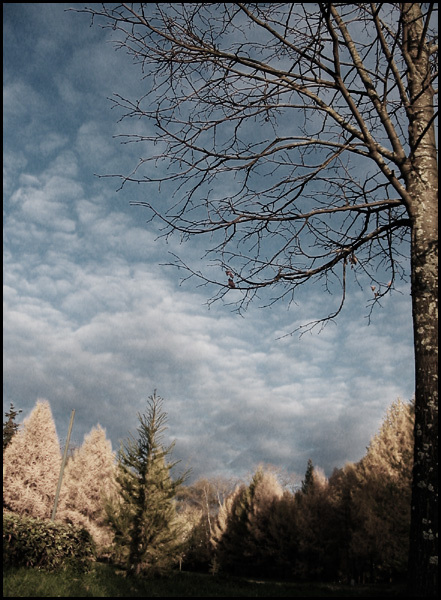 from the past comes the storms 