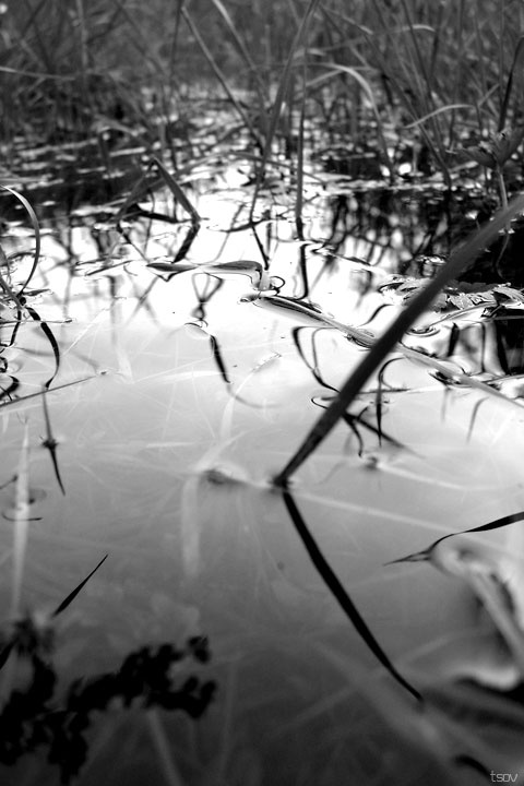 water water