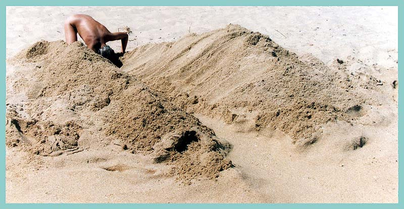 Crazy Digger 
