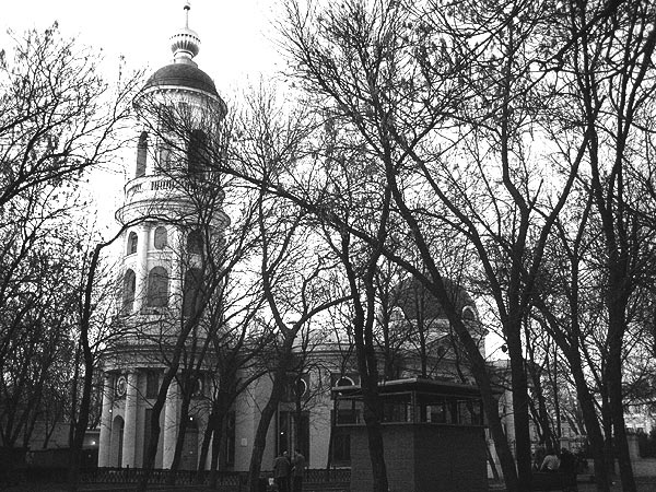 Ветви-руки, или просто...про одиночество День, природа,архитектура.