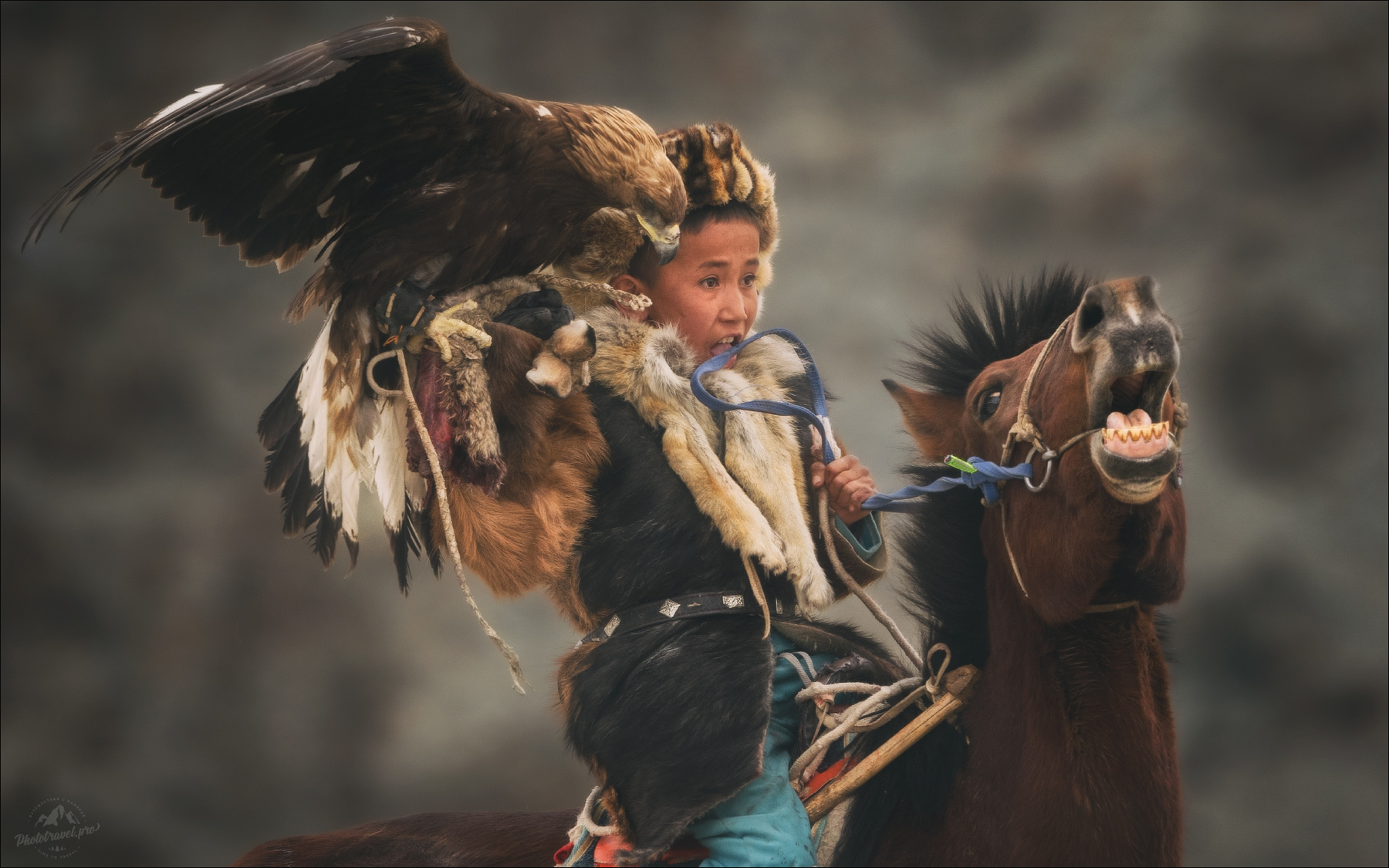 Драйв монголия осень фестиваль охотник с беркутом mongolia nomad golden eagle festival фототур в монголию на алтай кочевник беркутчи