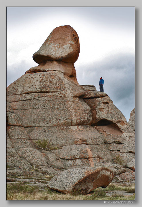 КОРЕНЬ ЖИЗНИ... Root of life природа предгория скала символ жизнь