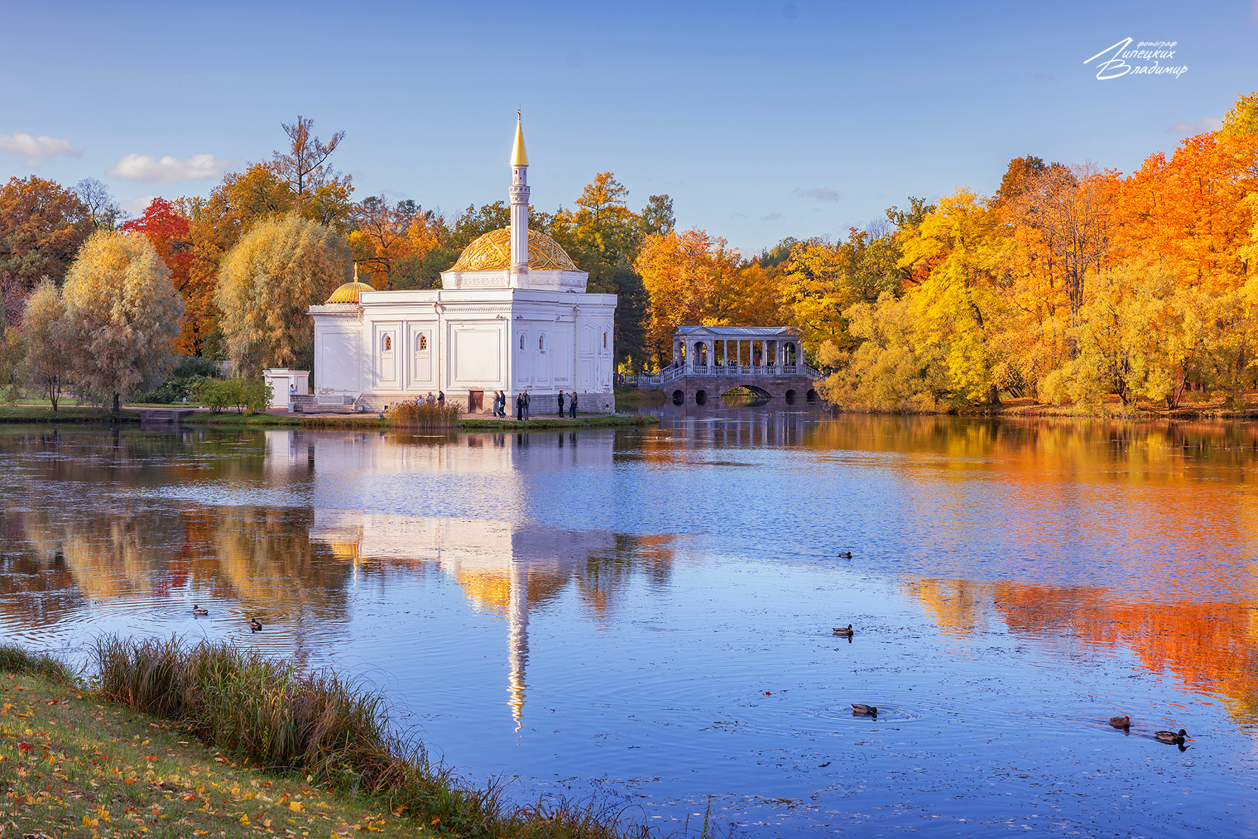 По осенним паркам Санкт-Петербурга. Санкт-Петербург Екатерининский парк