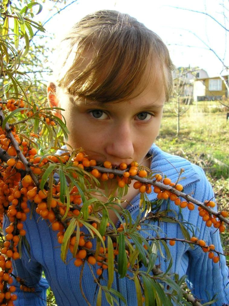 Сбор витаминов. осень облепиха