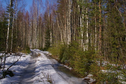 весна 