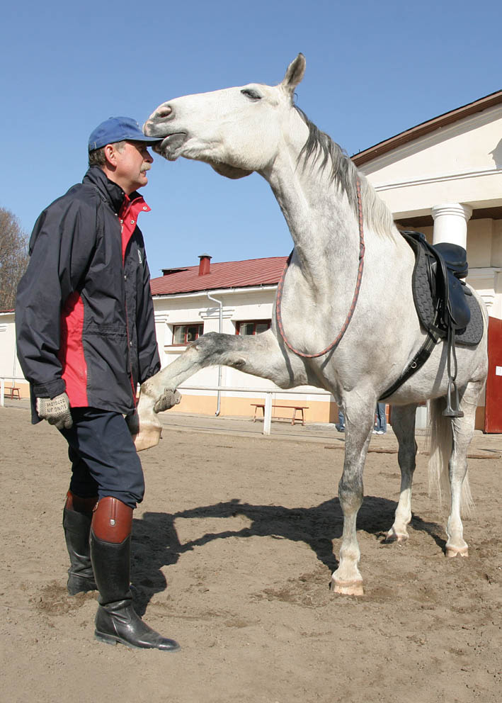 Нуу, Привет!!! Horse Кони