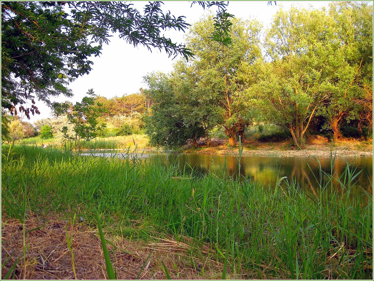 Красоты Крымского леса. 