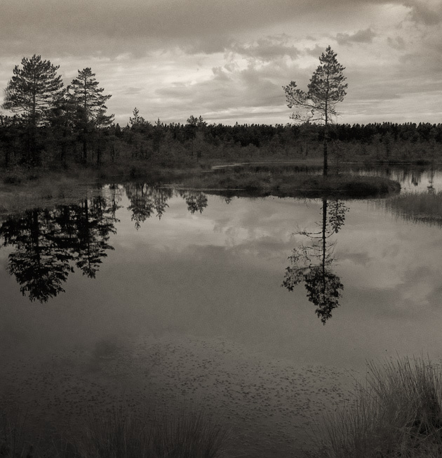 silence 