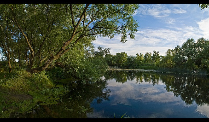 Берег берег река вода деревья лес