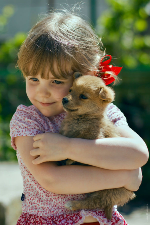 *** девочка,детство,собака,природа,бантики,щенок,