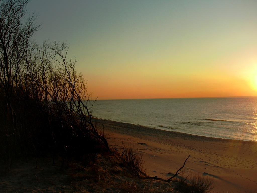 last rays 