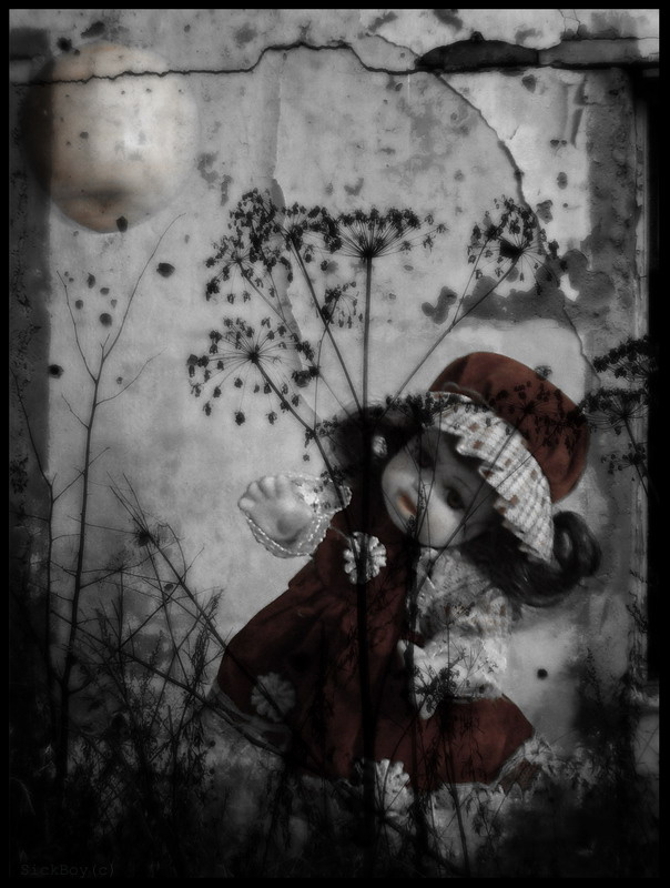 dolldream 