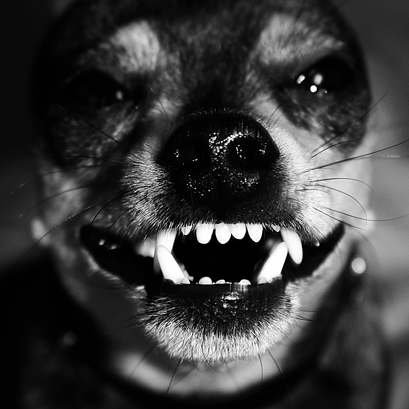 Smile! 