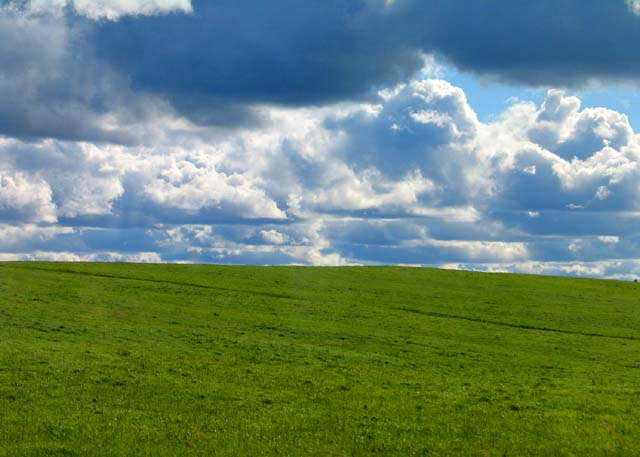 Безмятежность;)))))))))))))))))))))))) небо трава WINDOWS XP