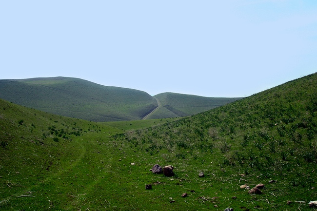 подражая xp 