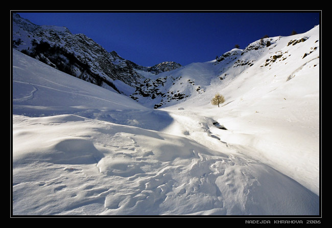 Живопись гор Швейцария Saas Fee альпы горы дерево снег