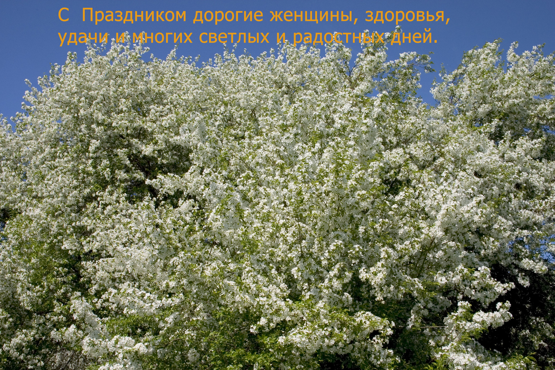 *** Разное
