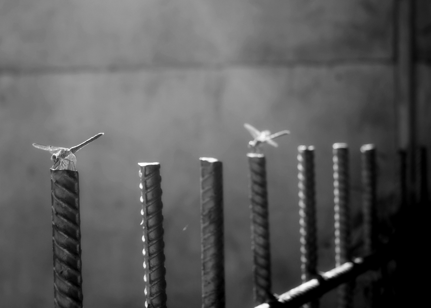 Don't sit on the fence Queen Ride The Wild Wind Innuendo 1991