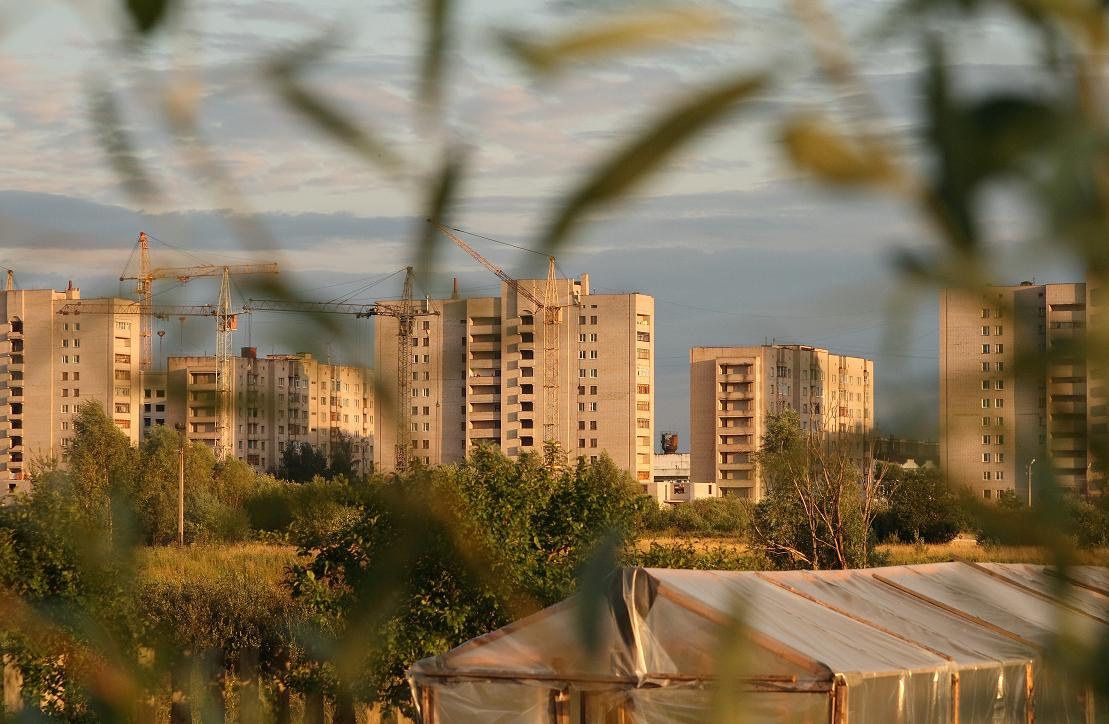 Сквозь листву город, листва