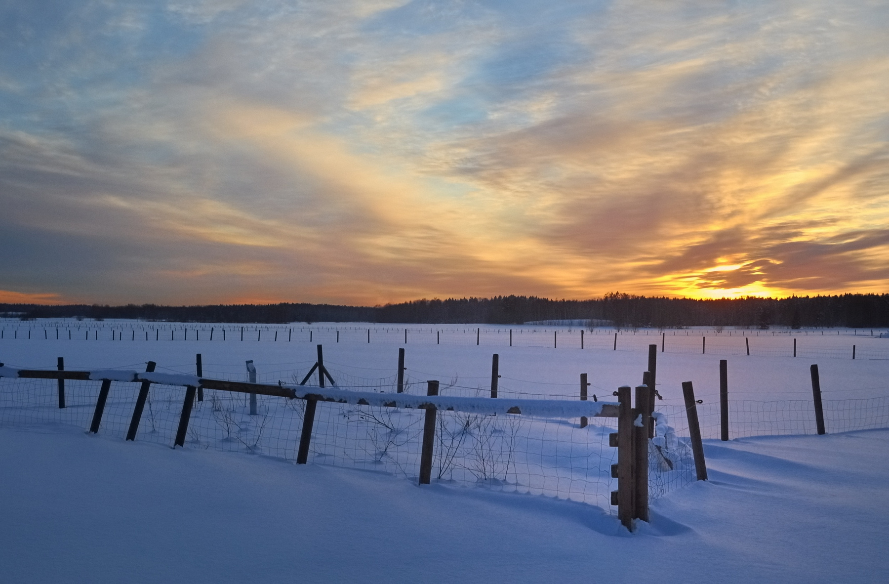 Зима на ферме закат зима Хельсинки winter sunset Helsinki