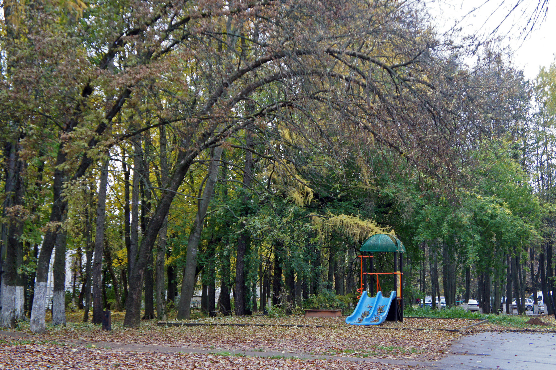 Сергиев Посад. Осень.   08.10.2013 Сергиев Посад Город Осень