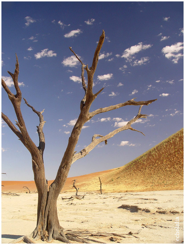 Deadvlei, пустыня Намиб намибия