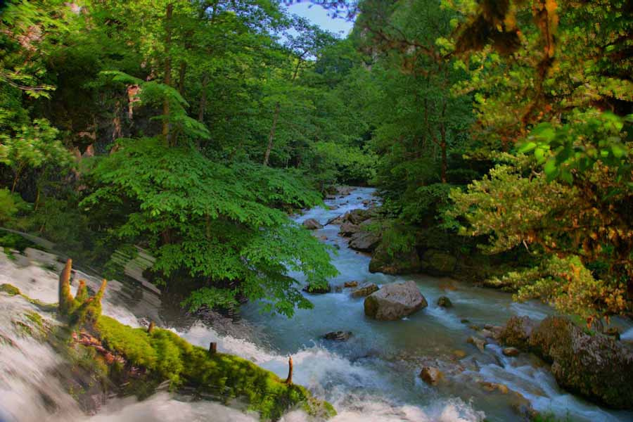 Курджипс река,горы, лес, водопад