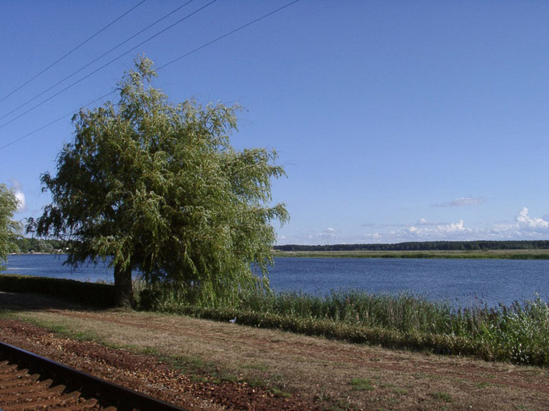 У железной дороги железная дорога река дерево