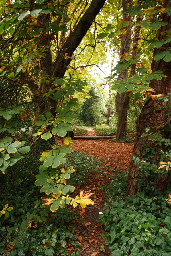 *** Autumn park
