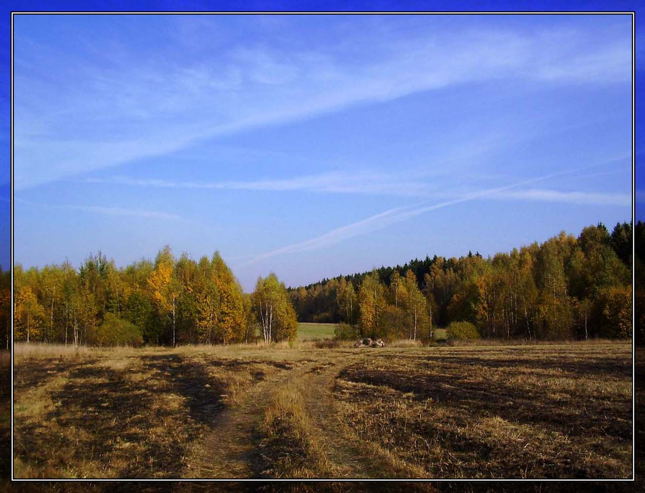 Н.Ольховка. Поле поле