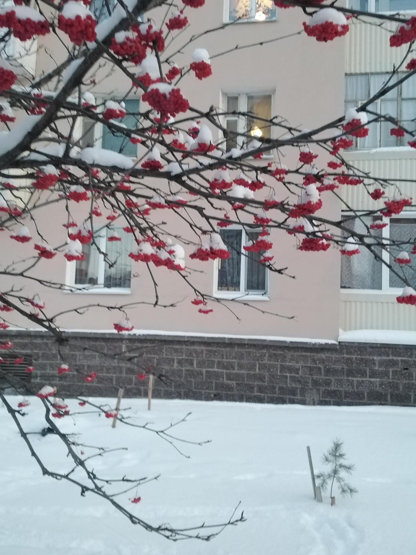 Свет в окне Дом рябина свет в окне...снег