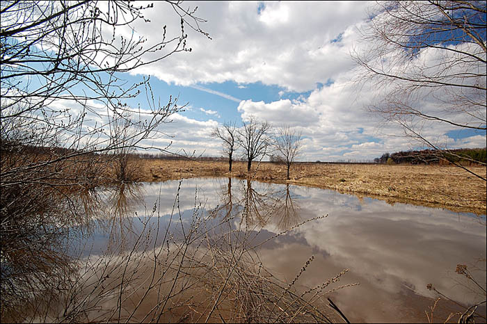 Разливы. Весна, ранняя, озеро, вода