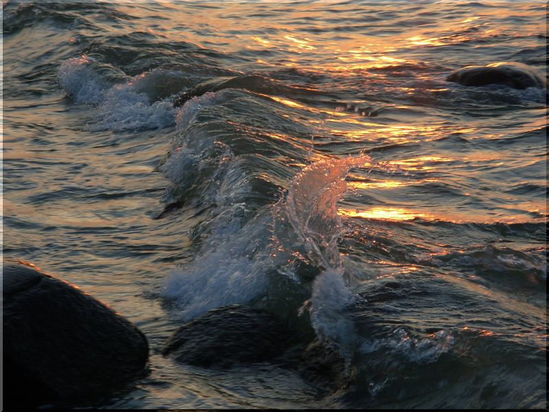 wave 