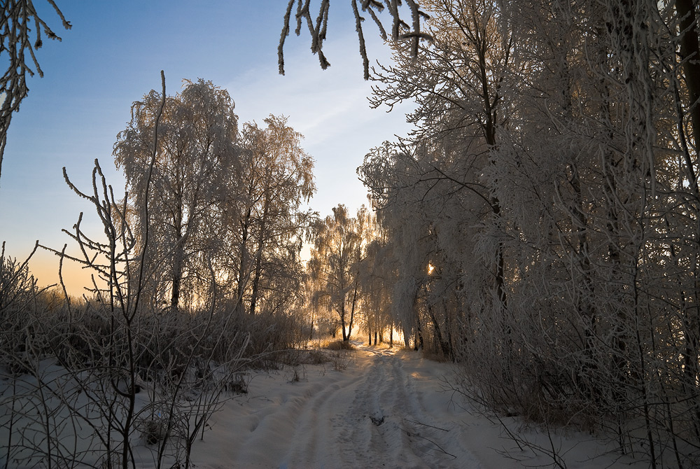 С первыми лучами 