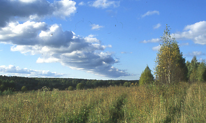 Дороги осень