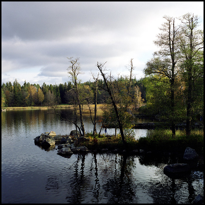 Монрепо Выборг, Hasselblad, осень