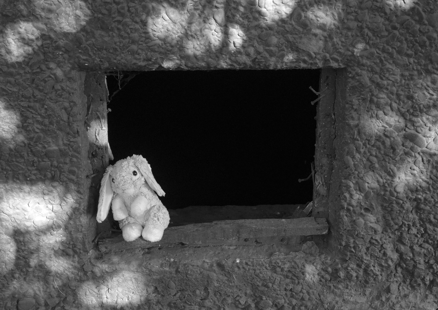 Follow the white rabbit. Part One 