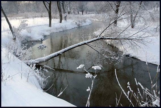 Холодный пейзаж Дерево, река