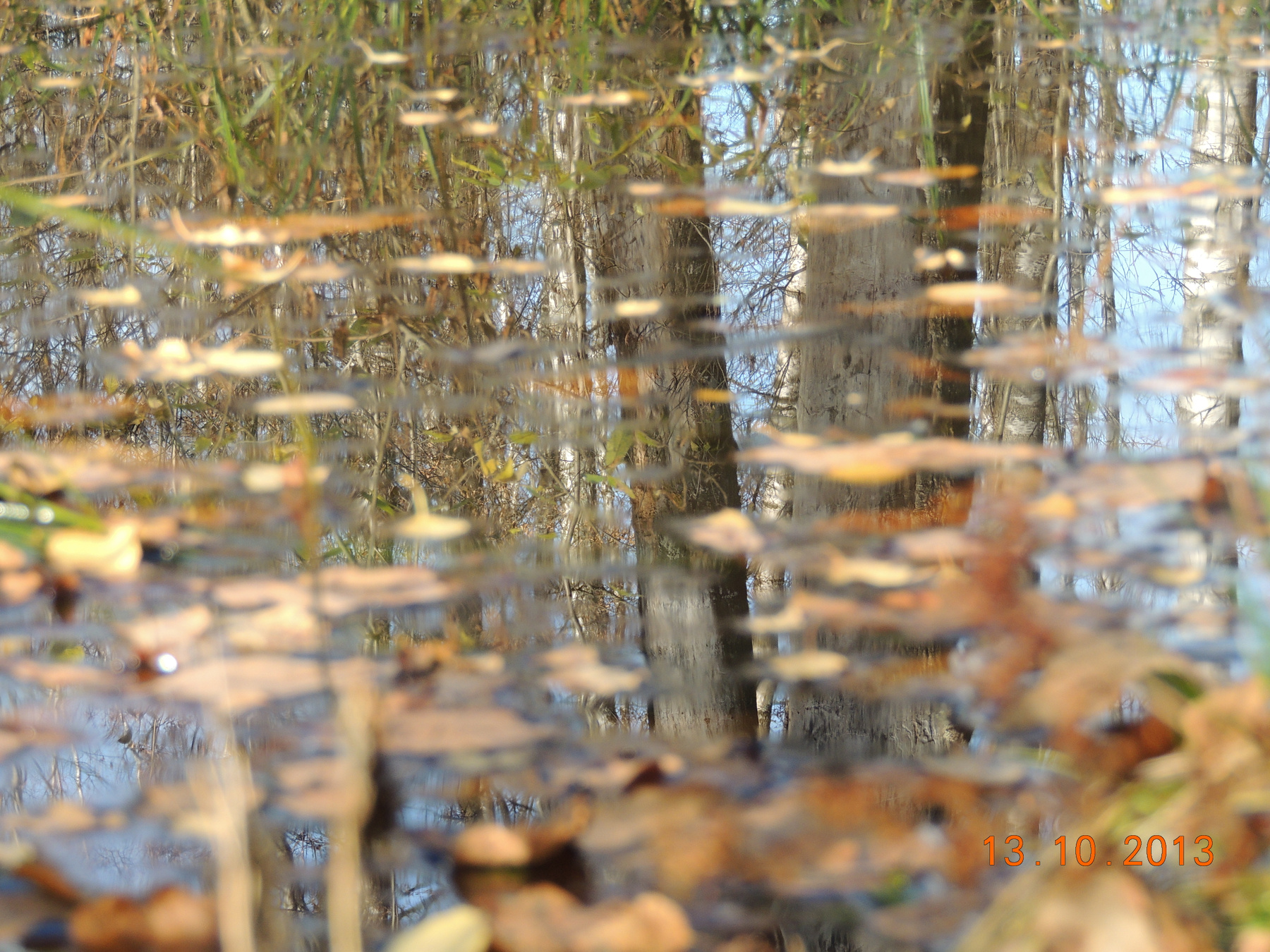 в воде 