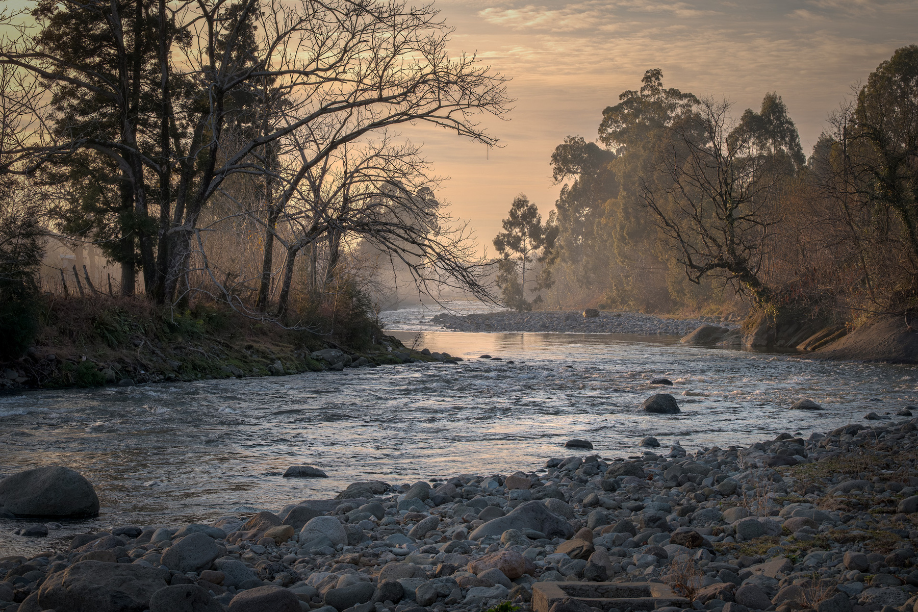 Spring On Chakvistskali River river chakvistskali water trees sun sunset spring landscape scenery travel outdoors georgia adjara sakartvelo chizh