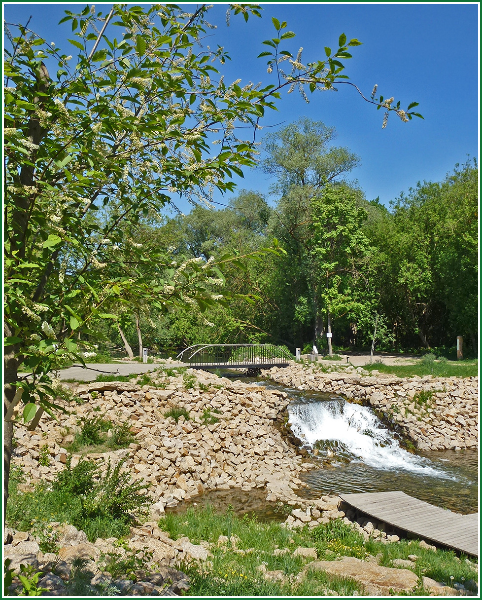 Природные акварели [2] Татарстан лес заказник водопад