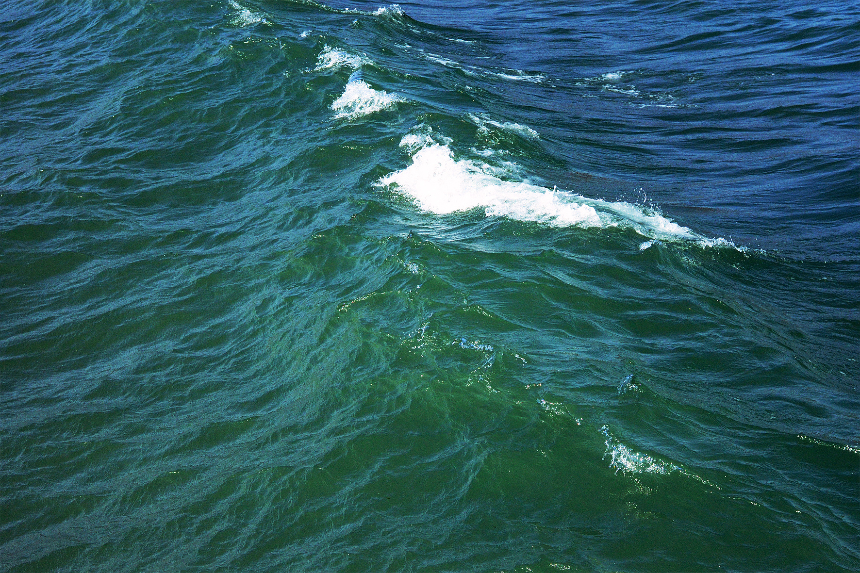Мор море, вода, фото