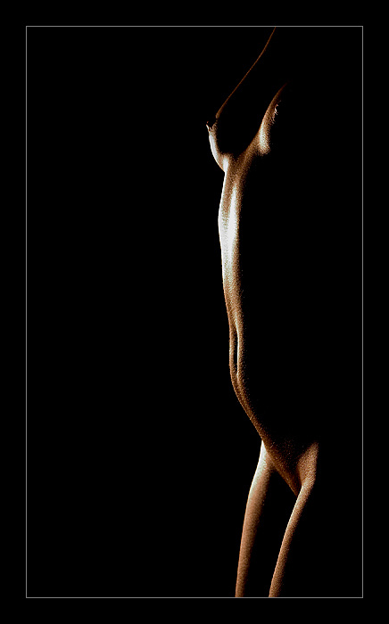 ::: Body Forms #99 ::: 