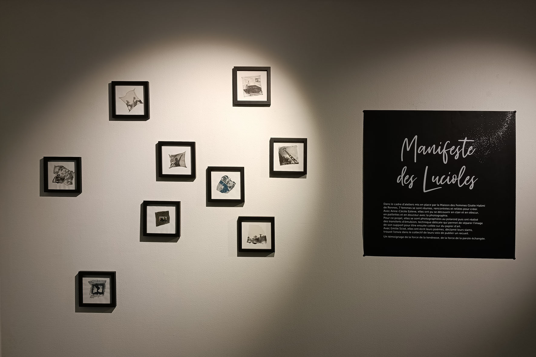"Манифест светлячков" Ренн Бретань Rennes выставка фото Polaroid
