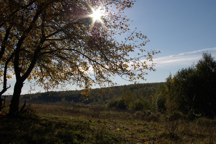 Осень 