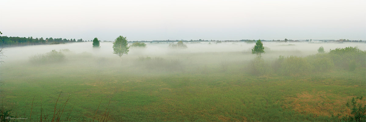 Утро туманное Панорама
