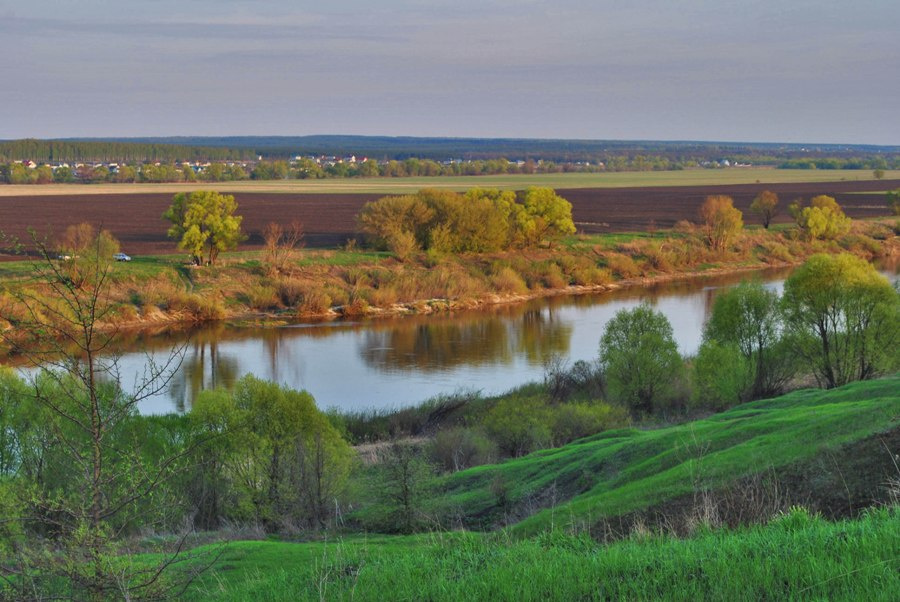 Родные края 