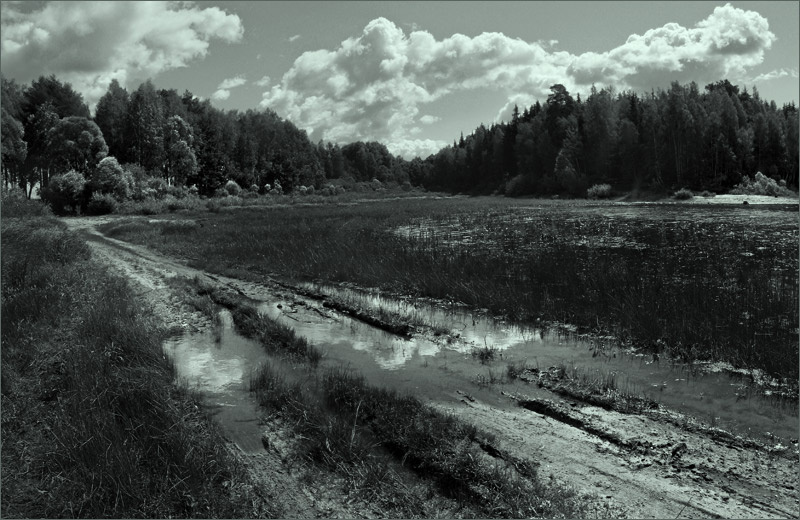 по дороге с облаками лес дорога