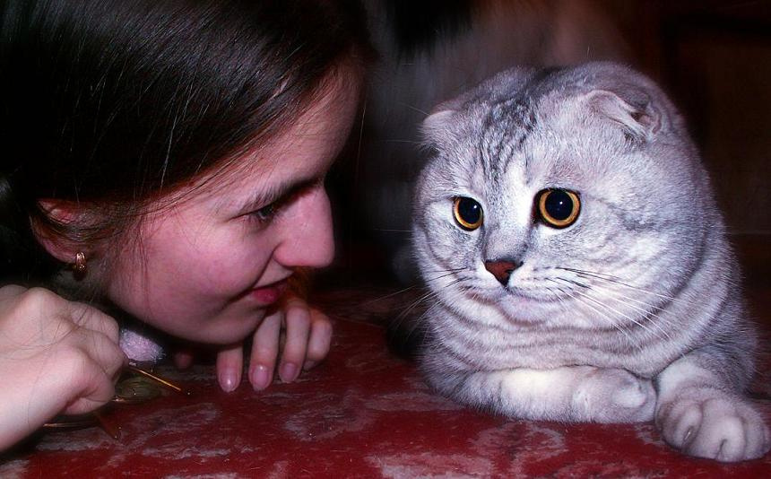 Лучшие друзья Домашние питомцы