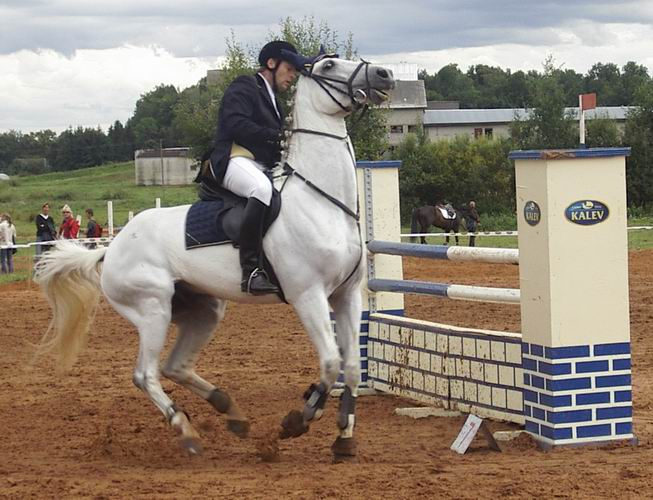 Palladium Cup 2004 Лошадь конкур всадник